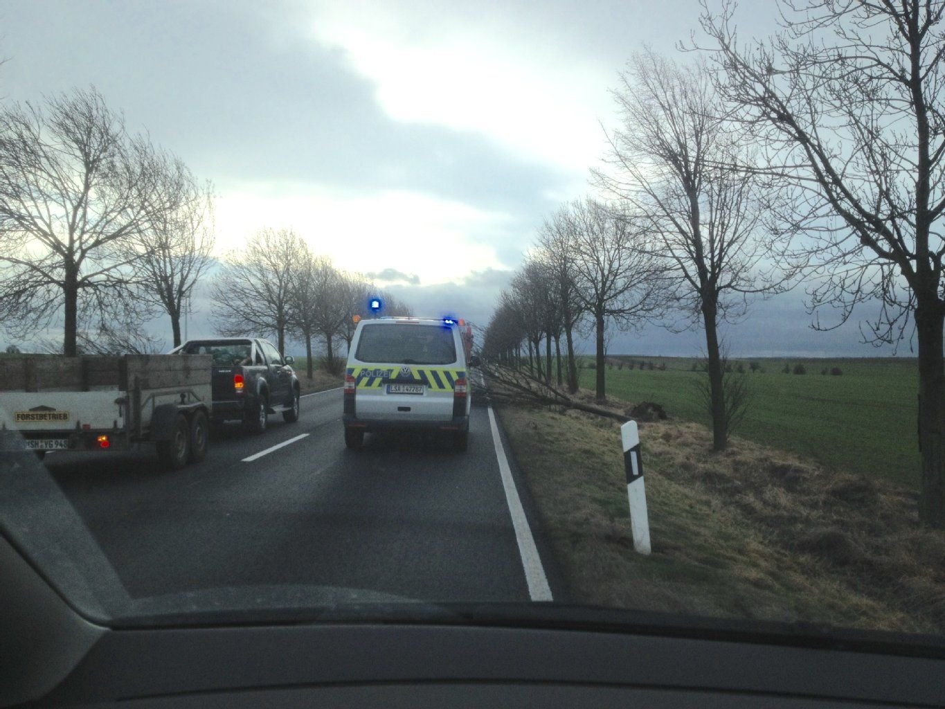 Behinderung durch umgestürzten Baum bei Quenstedt