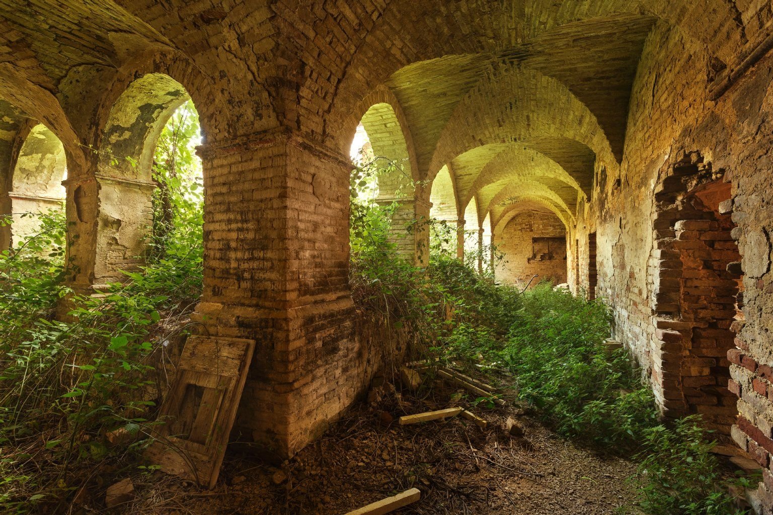 Cortile in Espansione: Der einstige Garten im Innenhof hat die äußeren Gänge des verfallenen Klosters in den Marken bereits erreicht.