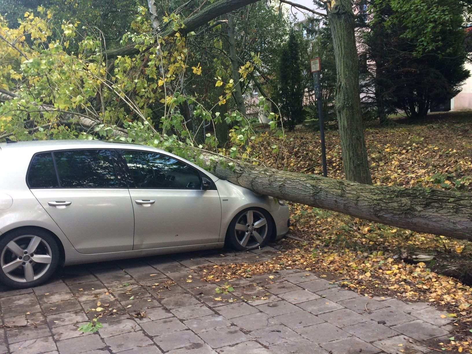 Sturmtief Xavier - In Hettstedt ist in der Franz-Schubert-Straße ein Baum auf Autos gefallen.