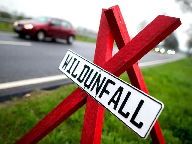 Nach einem Wildunfall sollten Autofahrer ein Warndreieck aufstellen.