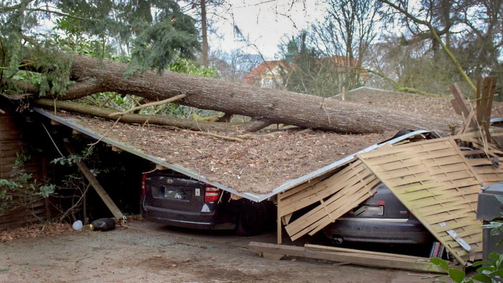 In Nordrhein-Westfalen ließ Sturmtief Sabine einen Baum auf den Unterstellplatz zweier Autos fallen.