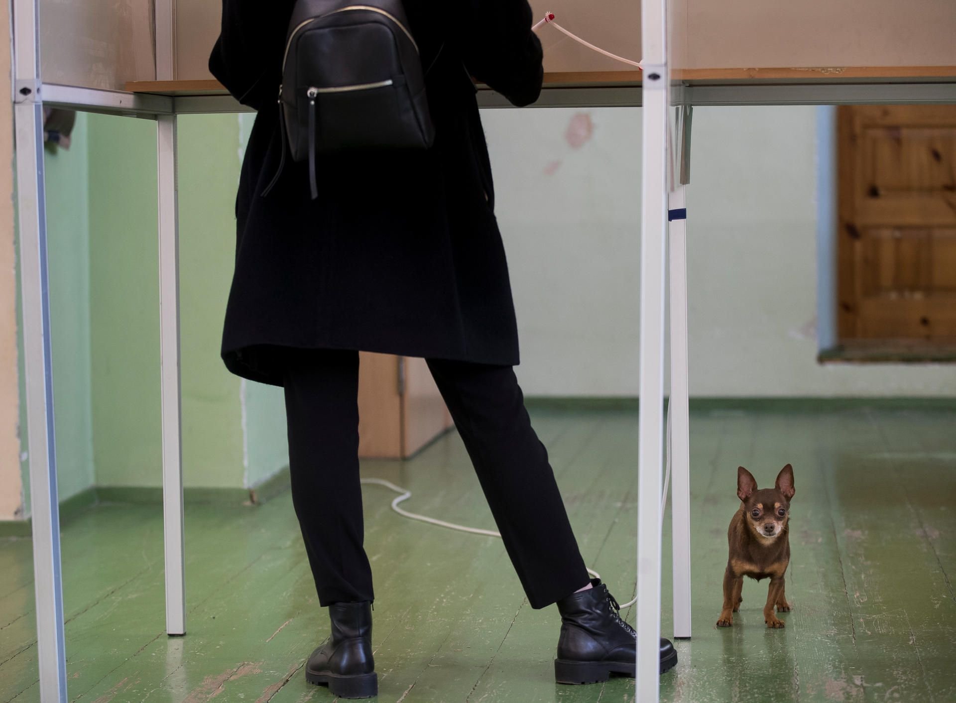 Eine Frau steht in einer Wahlkabine eines Wahllokals
