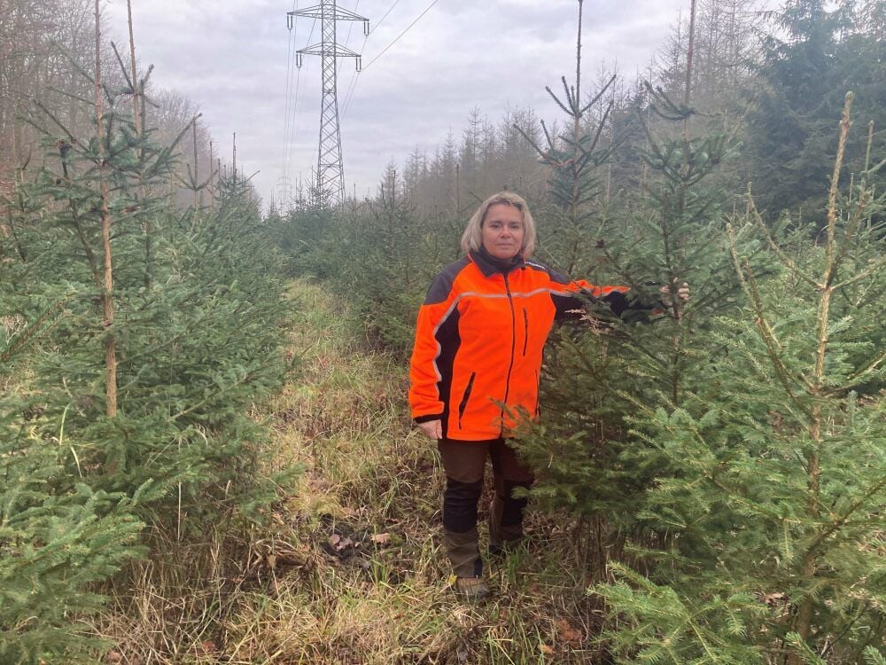 Försterin Adrina Hecht lädt zum Weihnachtsbaum-Selberschlagen ins Revier Ziegelroda ein. Sie hat jede Menge Fichten im Angebot.