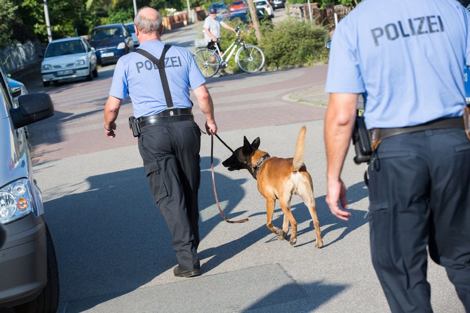 Die Polizei setzt Hunde zur Suche ein.