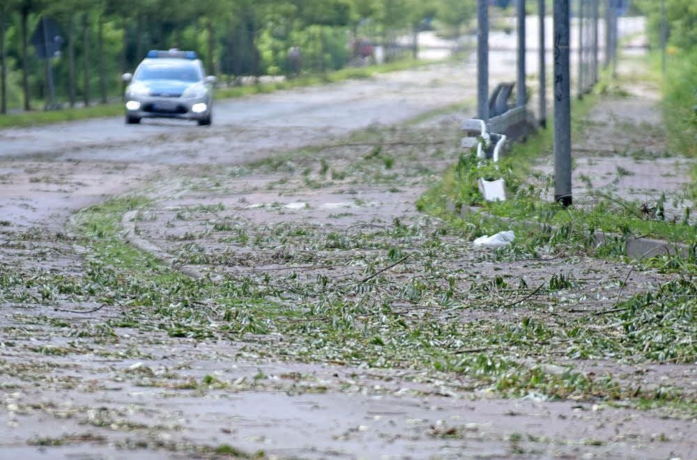 Die Verbindungsstraße in Wolfen ist von Ästen übersät. Aus Sicherheitsgründen ist sie noch gesperrt.