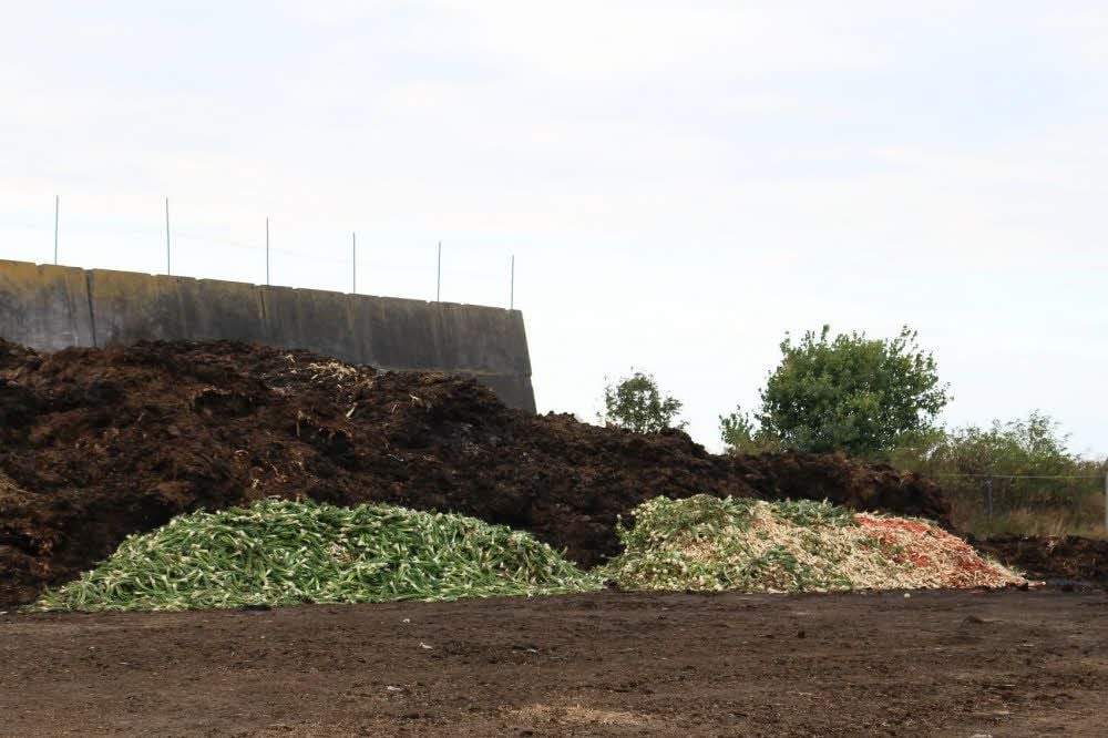 Das Gemüse wird bergeweise im Silo abgekippt.
