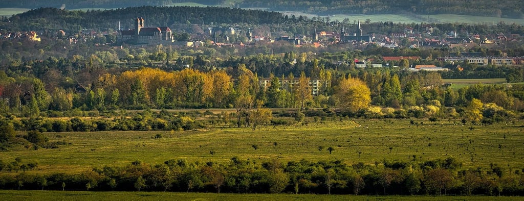 Blick auf das geplante Industriegebiet bei Quarmbeck