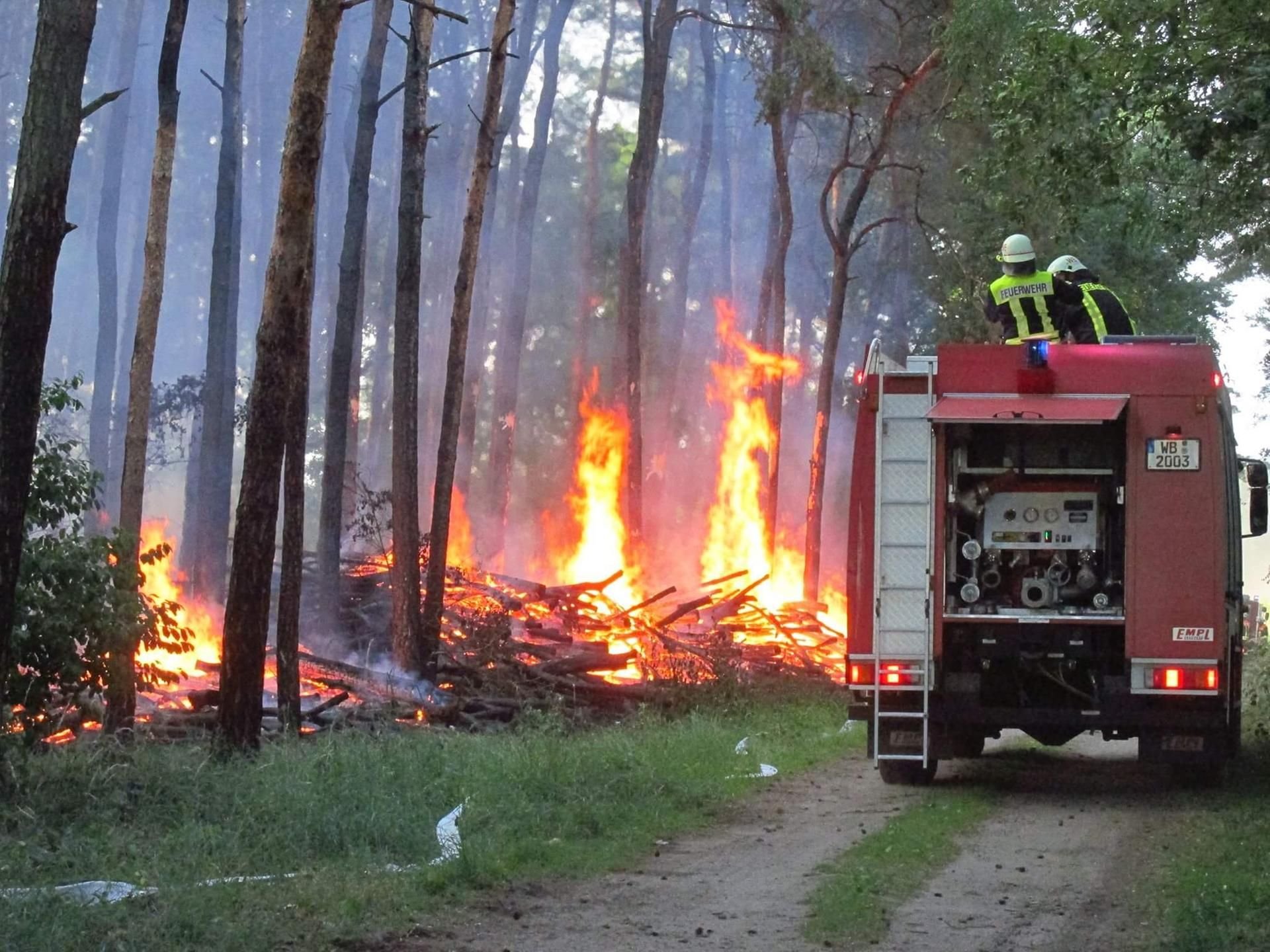 Erneut hat es bei Wittenberg gebrannt: In einem Waldstück bei Wiesigk waren die Feuerwehren ab Mittwochabend im Einsatz, um das Feuer zu löschen.