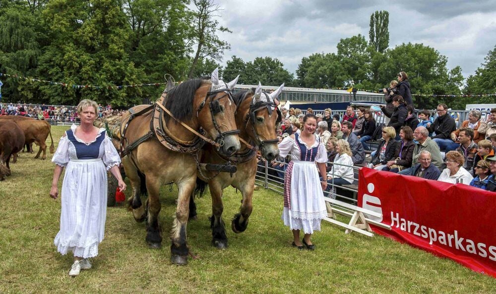 Bilder wie dieses vom Landwirtschaftsfest 2013 wird es künftig in Reinstedt wohl nicht mehr geben.