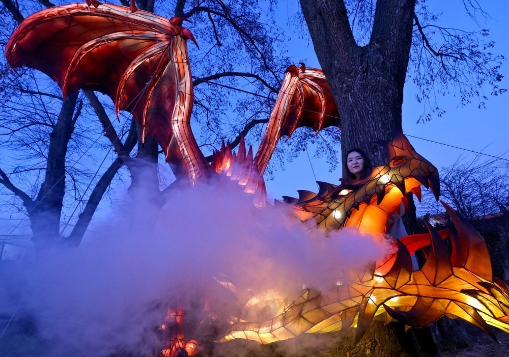 Mutig, mutig, Xi Chen! Der feuer- oder besser rauchspeiende Drache gehört zum Schaubild der Siegfried-Sage.