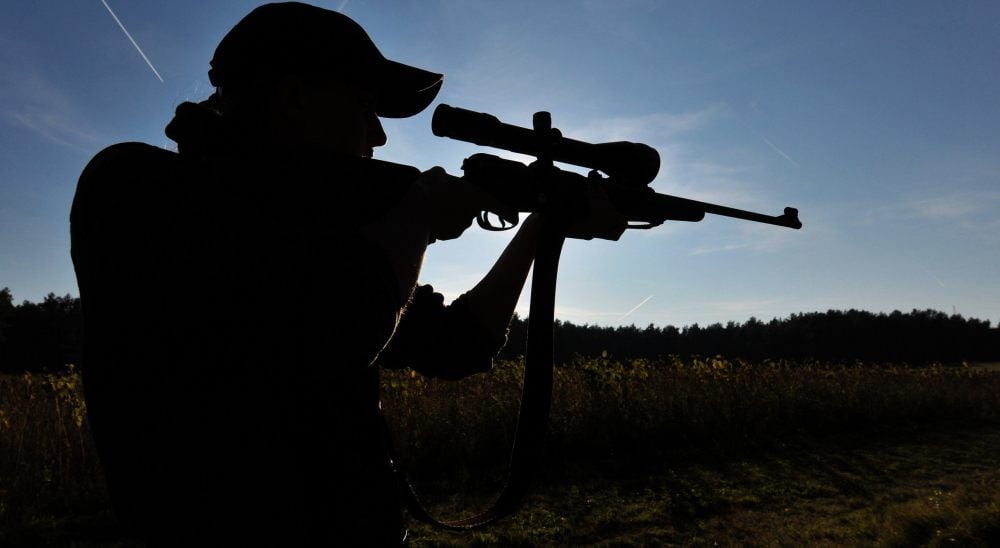 Bei einer Jagd in einem Wald bei Ballenstedt ist ein 81-Jähriger versehentlich erschossen worden.
