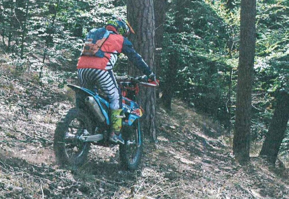Durch den Wald gebrettert: Gegen die Fahrer wurde inzwischen Anzeige erstattet.