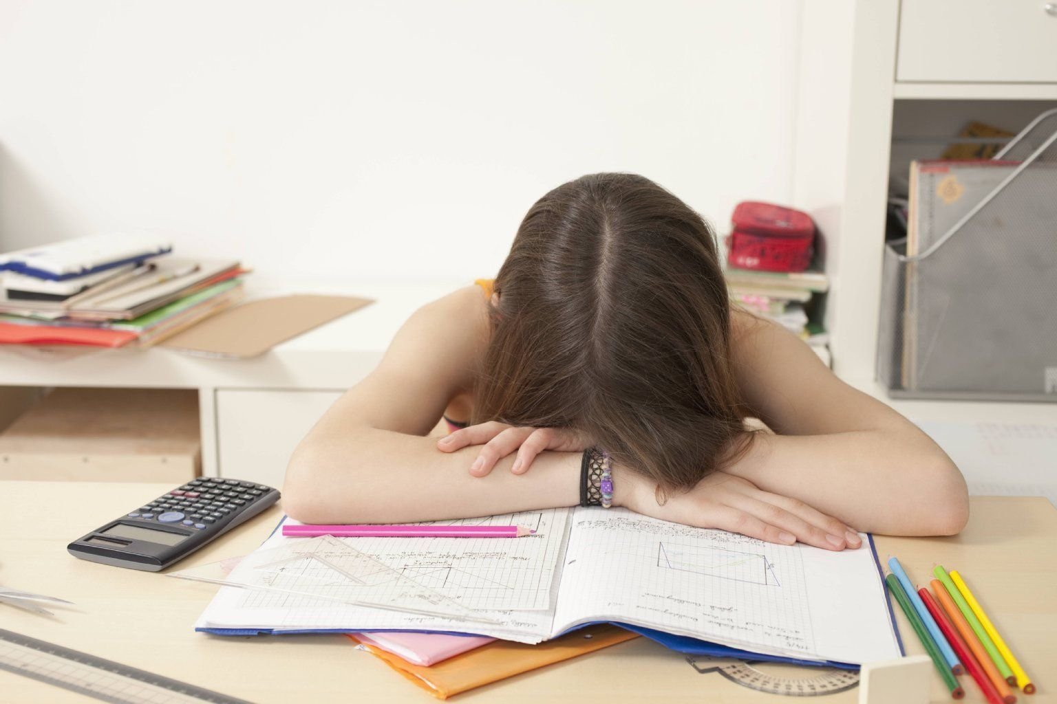 „Eine Sache würde ich lieber täglich auf morgen verschieben: die Schule!“