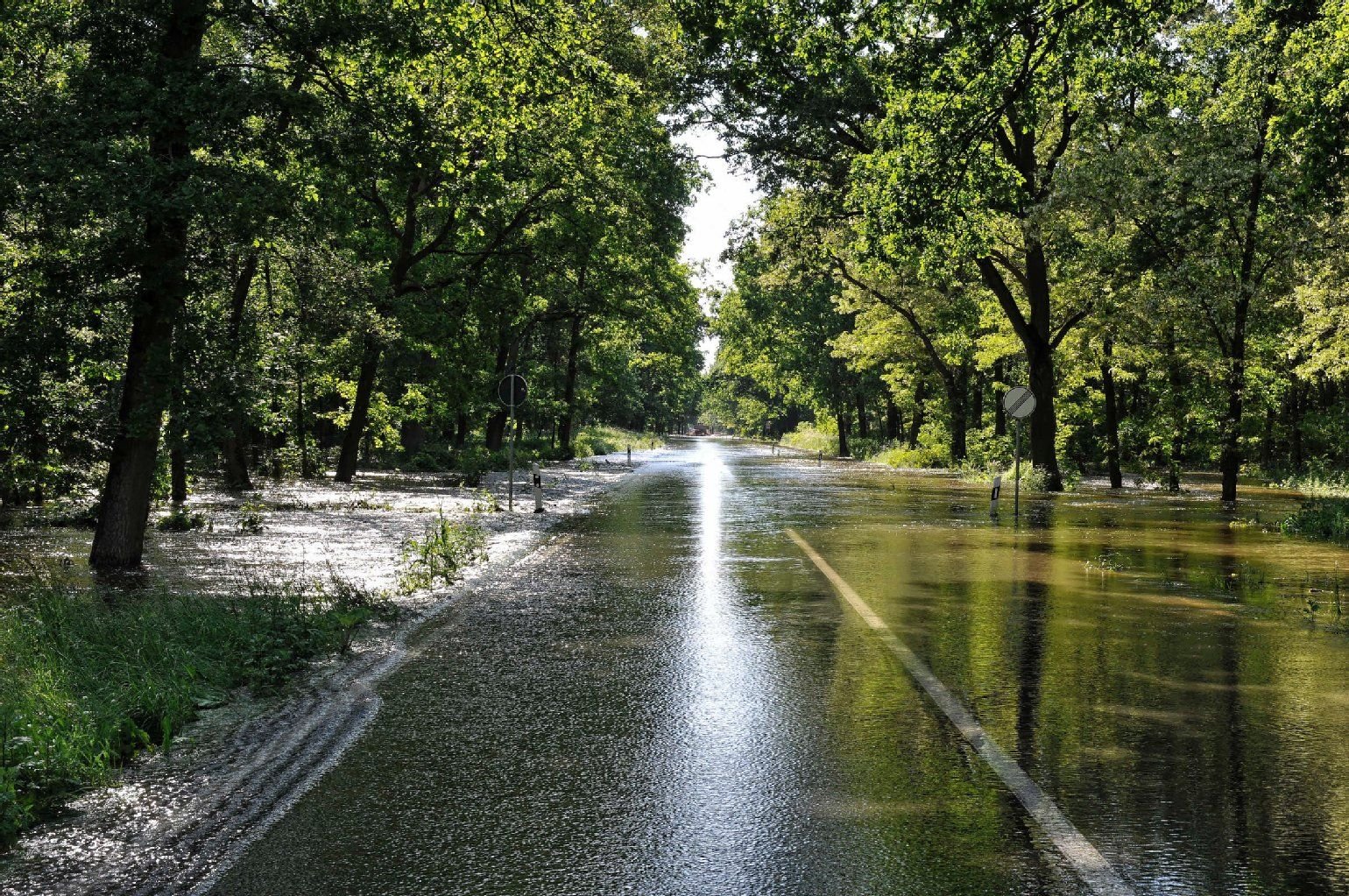 Überflutete Landstraße 63 zwischen Kleinkühnau und Aken. Nach einer Überspülung im Bereich "Mutter Sturm" lief das Wasser auf die Straße. Es besteht die Gefahr eines Rückstaus in Richtung Dessau.