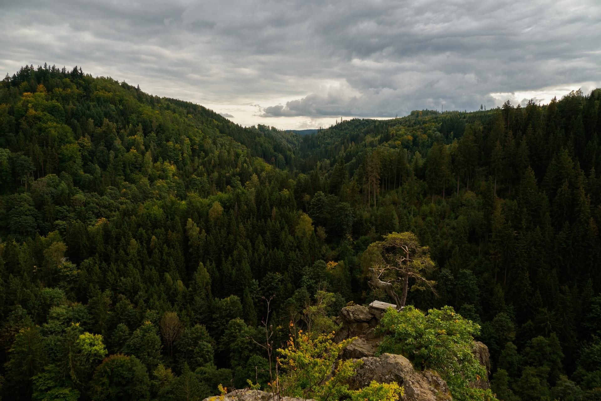 Bayern, Naila: Der Felsvorsprung Hirschsprung im Höllental im Frankenwald ist bei bewölktem Himmel zu sehen.
