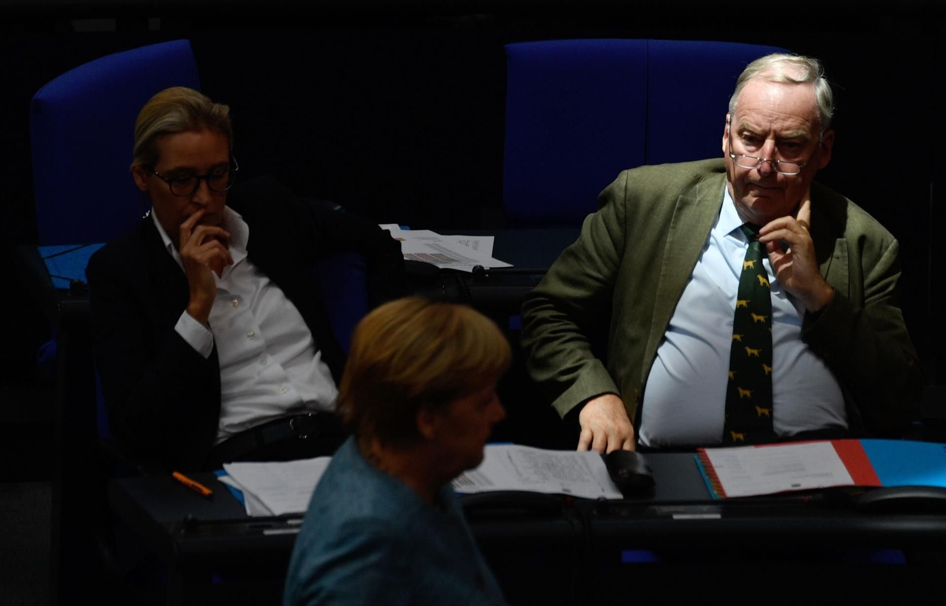 Alexander Gauland, Fraktionsvorsitzender der AfD.