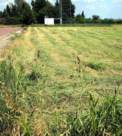 Zum Verkauf stehende Fläche im Peißener Gewerbegebiet