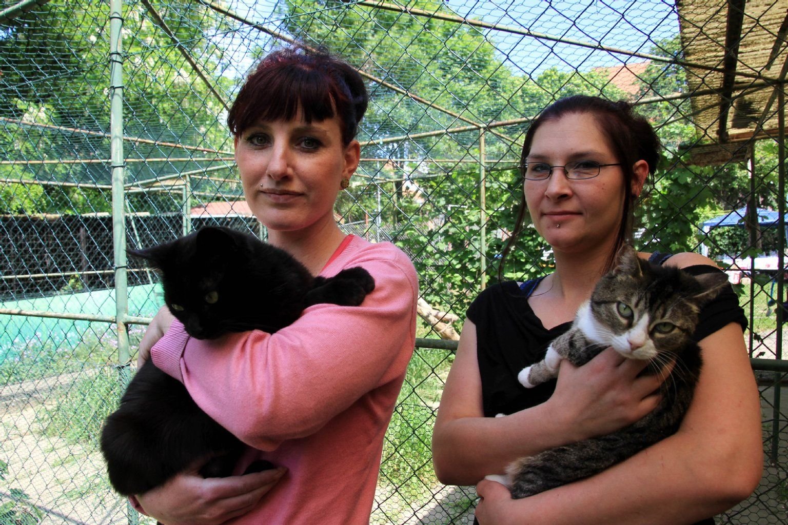 Die ehrenamtlichen Mitglieder des Vereins Cindy Jesse und Sandra Barnick (v.li.) wünschen sich auch für diese beiden Stubentiger Blacky und Hermine ein schönes Zuhause.