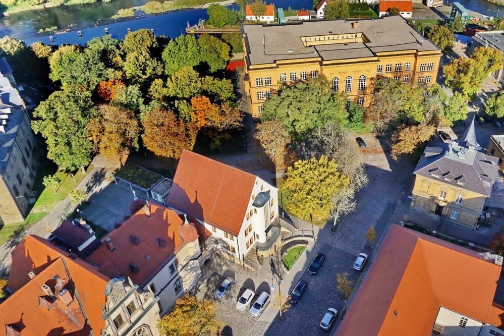 Weil die Schloßgartenstraße rund um das Gymnasium Carolinum 2021 ausgebaut werden soll, könnte allen zehn dort stehenden Kastanienbäumen das letzte Stündlein schlagen.