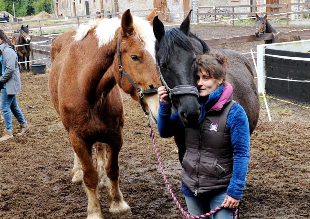 Sie spricht die Sprache der Pferde: Andrea Blath betreibt in Walbeck die Tierheilpraxis Blath.