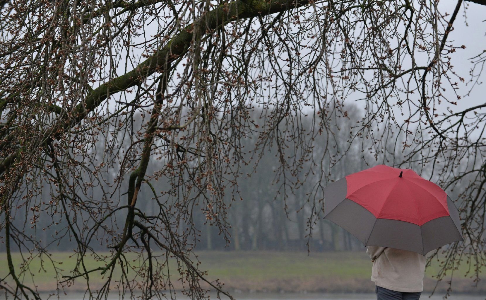 Die saisonale Depression beginnt im Herbst oder Winter, im Frühjahr klingen die Symptome meist wieder ab.