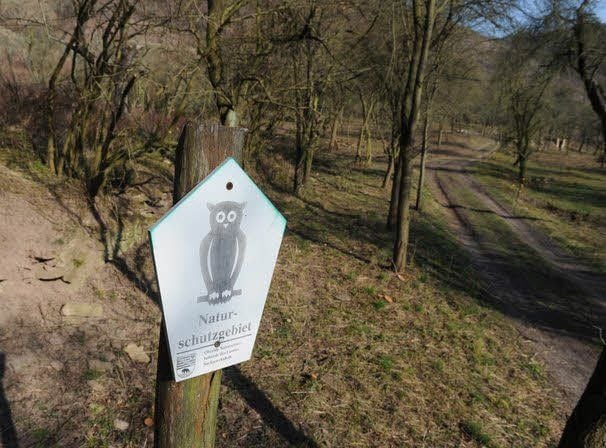 Im Naturschutzgebiet Hasenwinkel laufen laut Kreisverwaltung derzeit Pflegearbeiten.