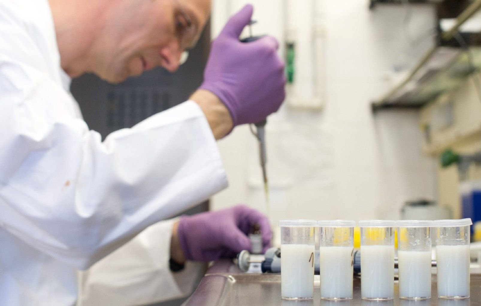Ein Chemiker untersucht Proben von Rohmilch.
