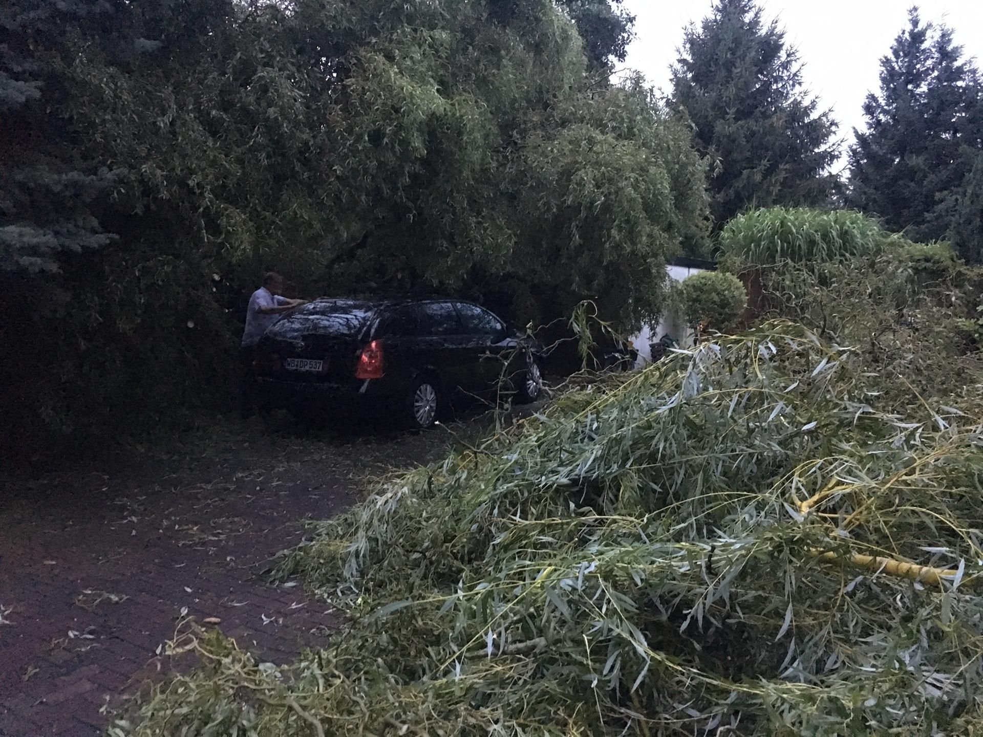 In Selbitz wurden Autos unter umgestürzten Bäumen begraben.