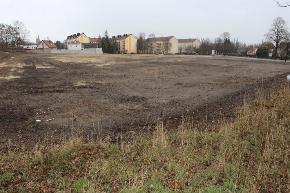 Irgendwo hier wird in absehbarer Zeit die Straße „An der Knochenmühle“ entlangführen.