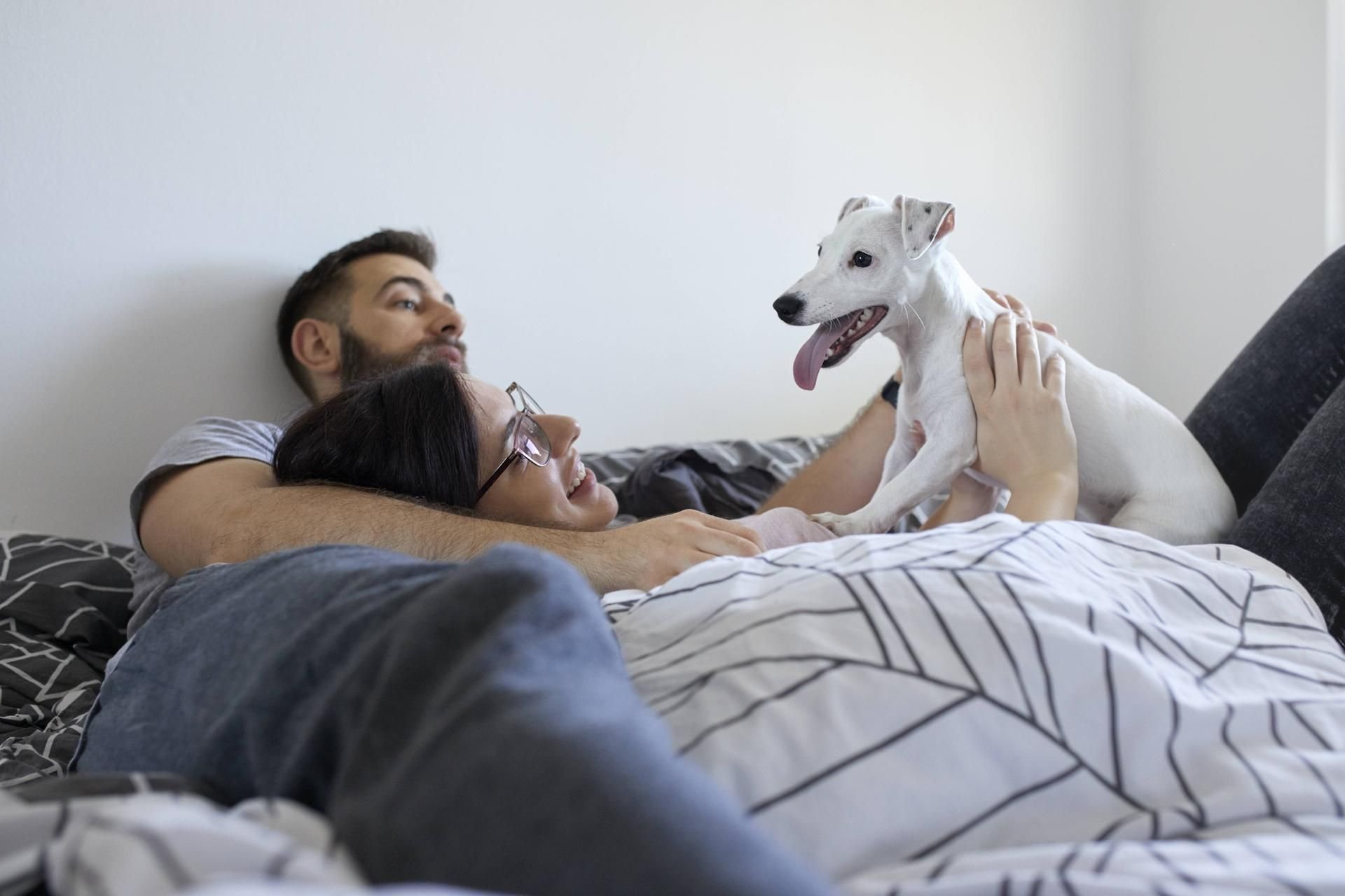 Hunde dürfen ruhig mit ins Bett - aber nur, wenn sie es selber wollen, sowie geimpft und entwurmt sind.