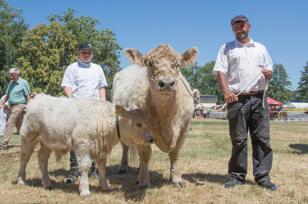 Simon Wittmann (li.) und Ahmad Alhaj Aamayer präsentierten für das Freigut Garsena die Tiere bei der Landwirtschaftsschau.
