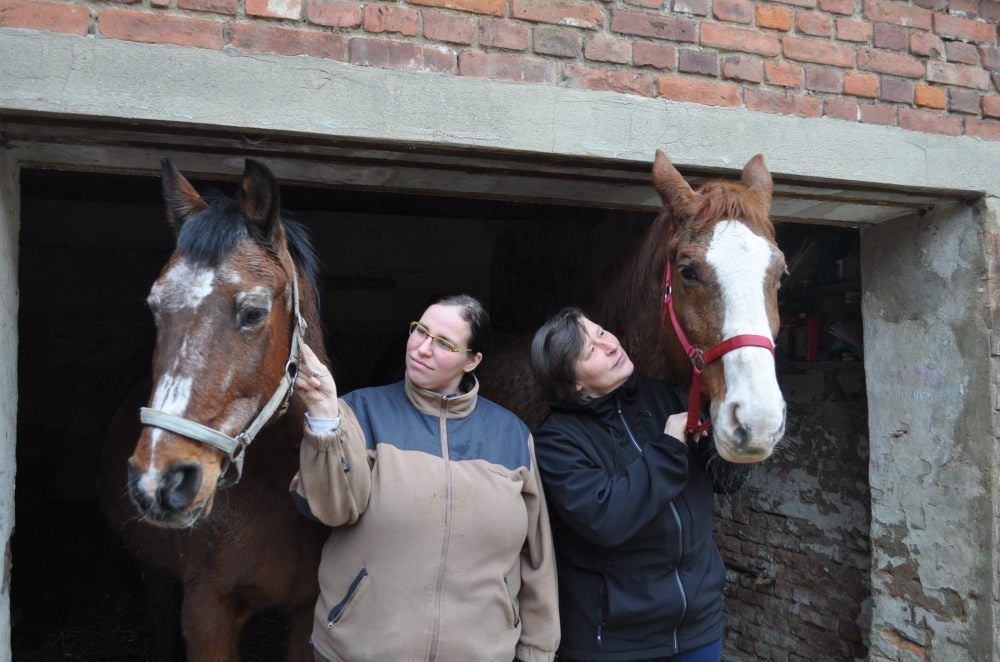 Das Notquartier der Pferde Cherry (links) und Luna befindet sich derzeit in einer Garage in Kleben. Heike Jüttner und ihre Mutter Kerstin Gemmer (rechts) sind froh, dass die geliebten Tiere nach dem Großbrand in Borau wohlauf sind. Und das sollen sie auch bleiben.