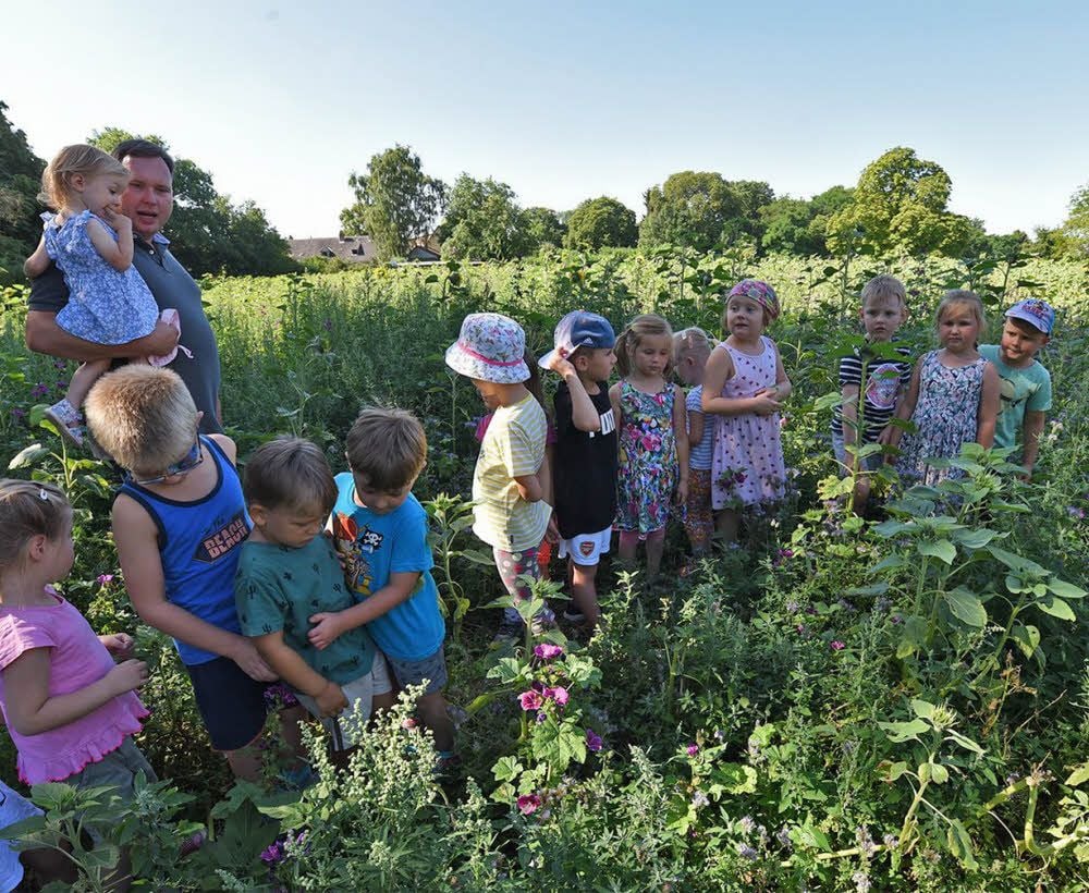 Die Kinder der Kindertagesstätte „Sternchen“ in Winningen sind auf Spurensuche in der Blühwiese.