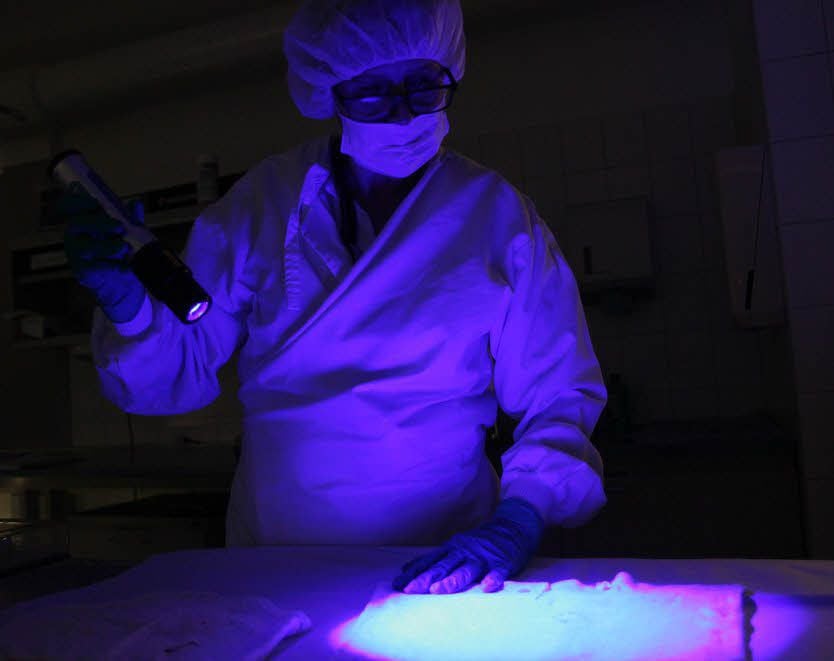 Eine spezielle Lampe macht Blutspuren sichtbar. Mehr als 5 000 Fälle wird das LKA in diesem Jahr untersucht haben.