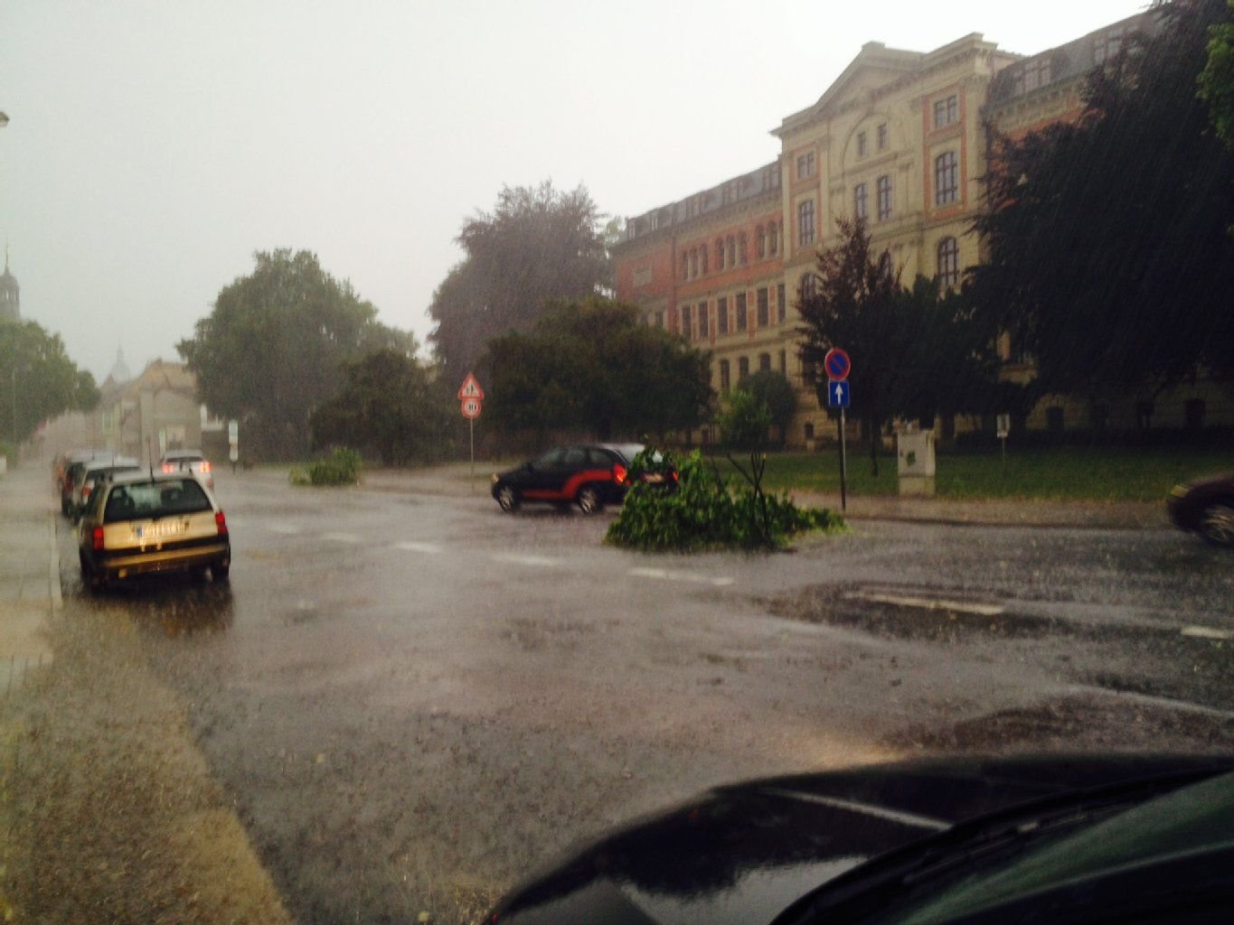 In Köthen hat das Gewitter größere Äste von Bäumen in der Bernburger Straße gerissen.