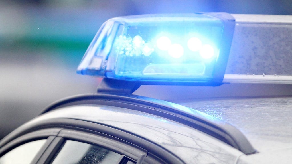 Die entsprechenden Ermittlungsverfahren wurden eingeleitet.