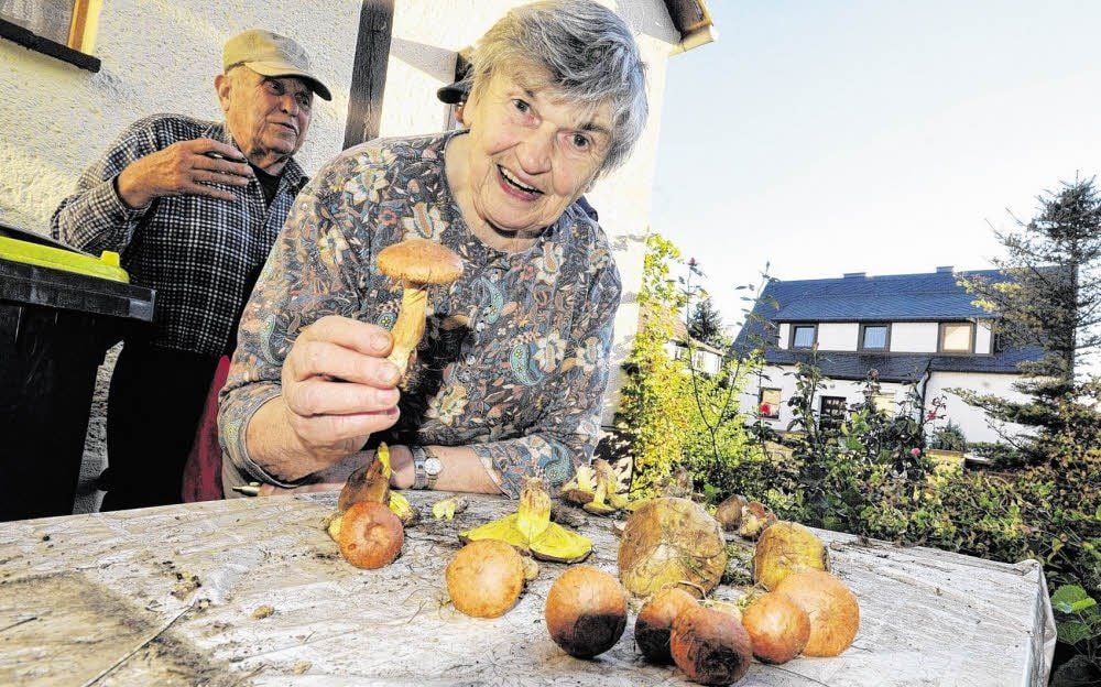 Im Gosecker und Freyburger Wald, so rief eine Weißenfelserin Sammlerin freudig an, habe sie am Donnerstag unter anderem Hallimasch, Stockschwämmchen und Anis-Champignons gefunden. Wer sich nicht auskennt, sollte zu Ute Nothnagel kommen. Sie wohnt in Weißenfels, Pestalozzistraße 3.