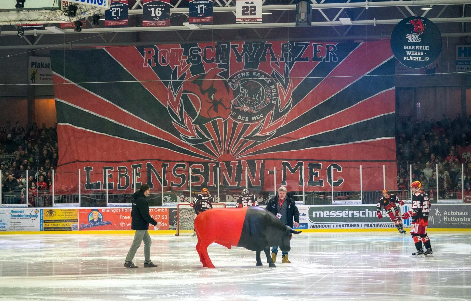 Die Fans der Saale Bulls mit einer Choreographie.