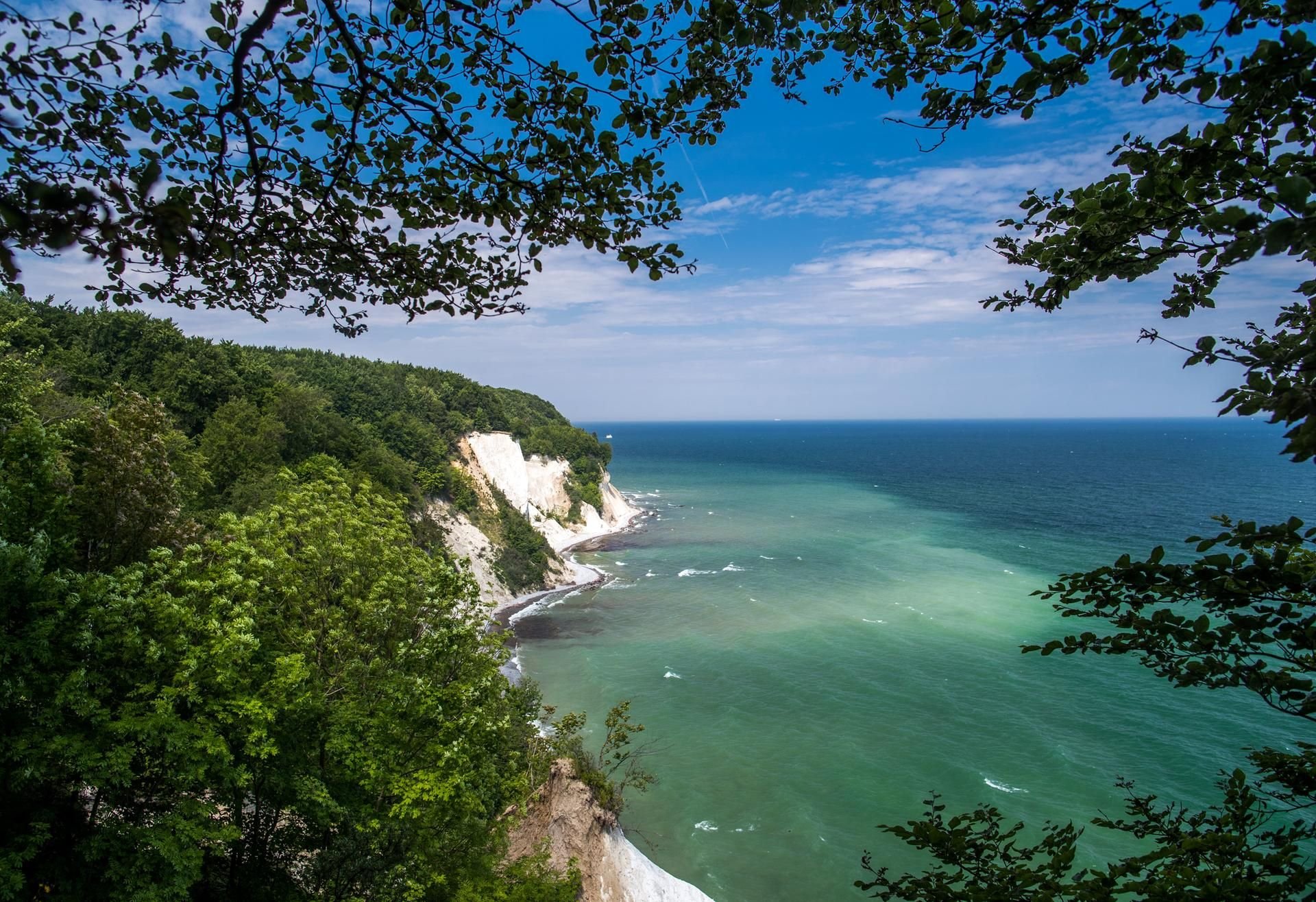 Die Kreidefelsen auf Rügen ziehen jedes Jahr tausende Urlauber in ihren Bann.