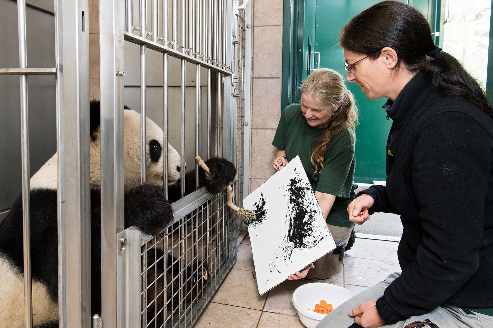 Panda-Weibchen Yang Yang beim Malen.