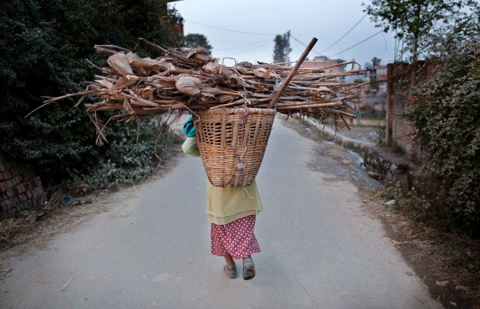 Benzin und Gas sind knapp: Eine Frau trägt in Lalitpur Holz nach Hause.