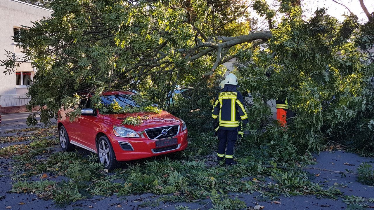 Am Platz der deutschen Einheit in Zeitz stürzte ein Baum auf ein Auto. Verletzt wurde niemand.