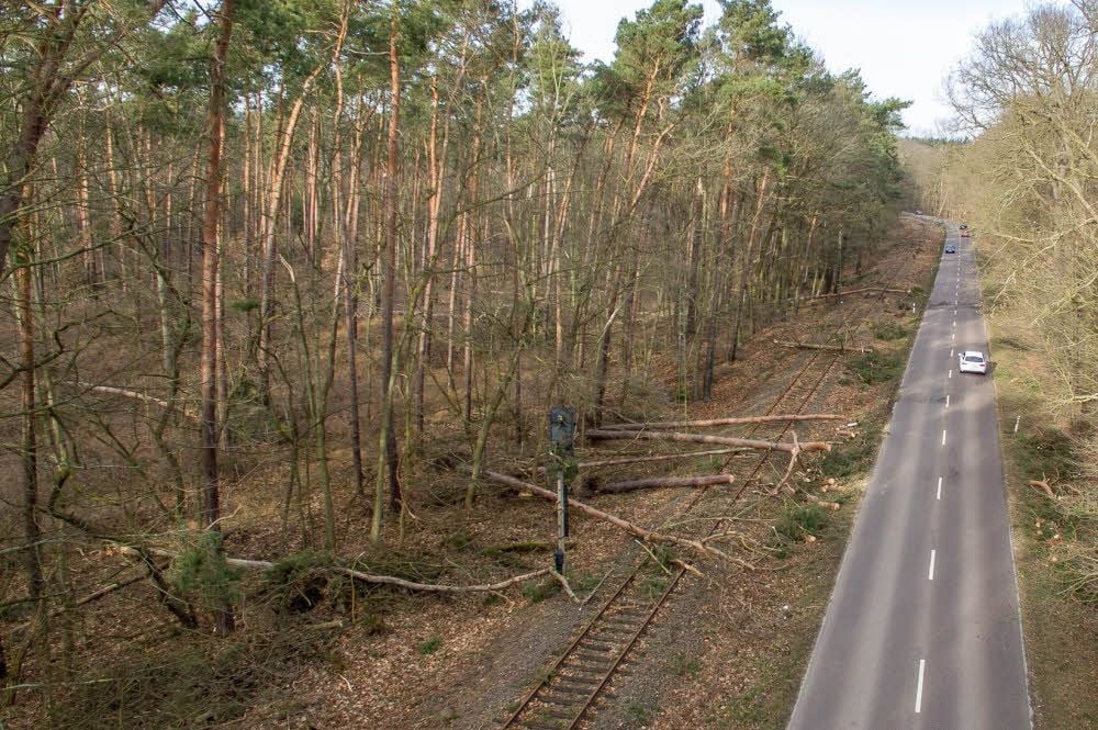 Wie Mikadostäbchen gefallen: Beim Sturm knickten entlang der Salzmünder Straße in der Dölauer Heide viele Bäume um.