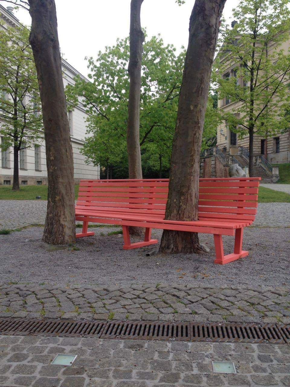 Guerilla-Kunst am Unicampus: Mitten aus dieser Bank scheint ein Bank zu wachsen.