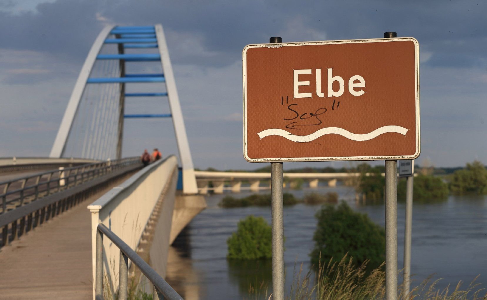 Das Hochwasser der Elbe hat am 10.06.2013 die Flussauen in Tangermünde (Sachsen-Anhalt) überschwemmt.