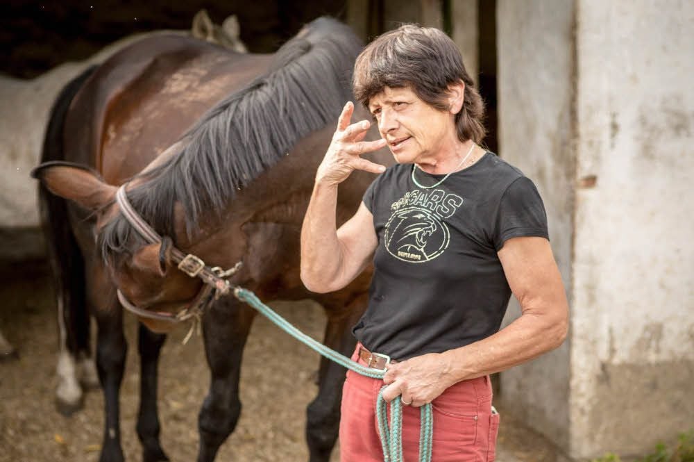 Tierquäler, meint Irene Taubert, müssen nicht bei Sinnen sein.