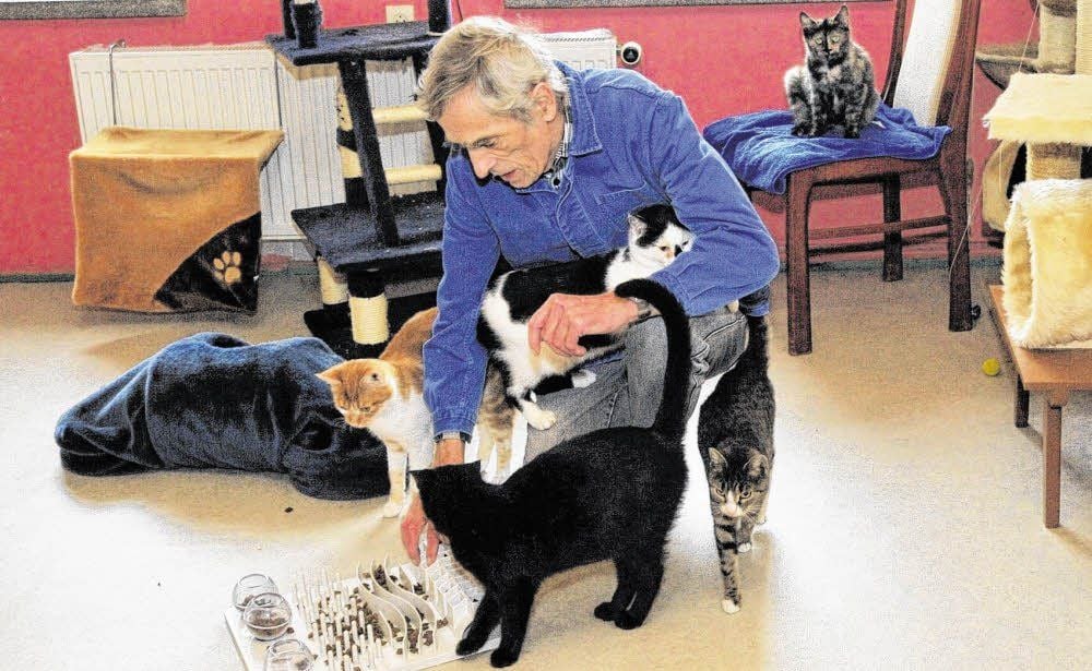 Hans Jürgen Berk versucht, einige der vielen Katzen in der Notauffangstation mit Denkspielen zu beschäftigen.