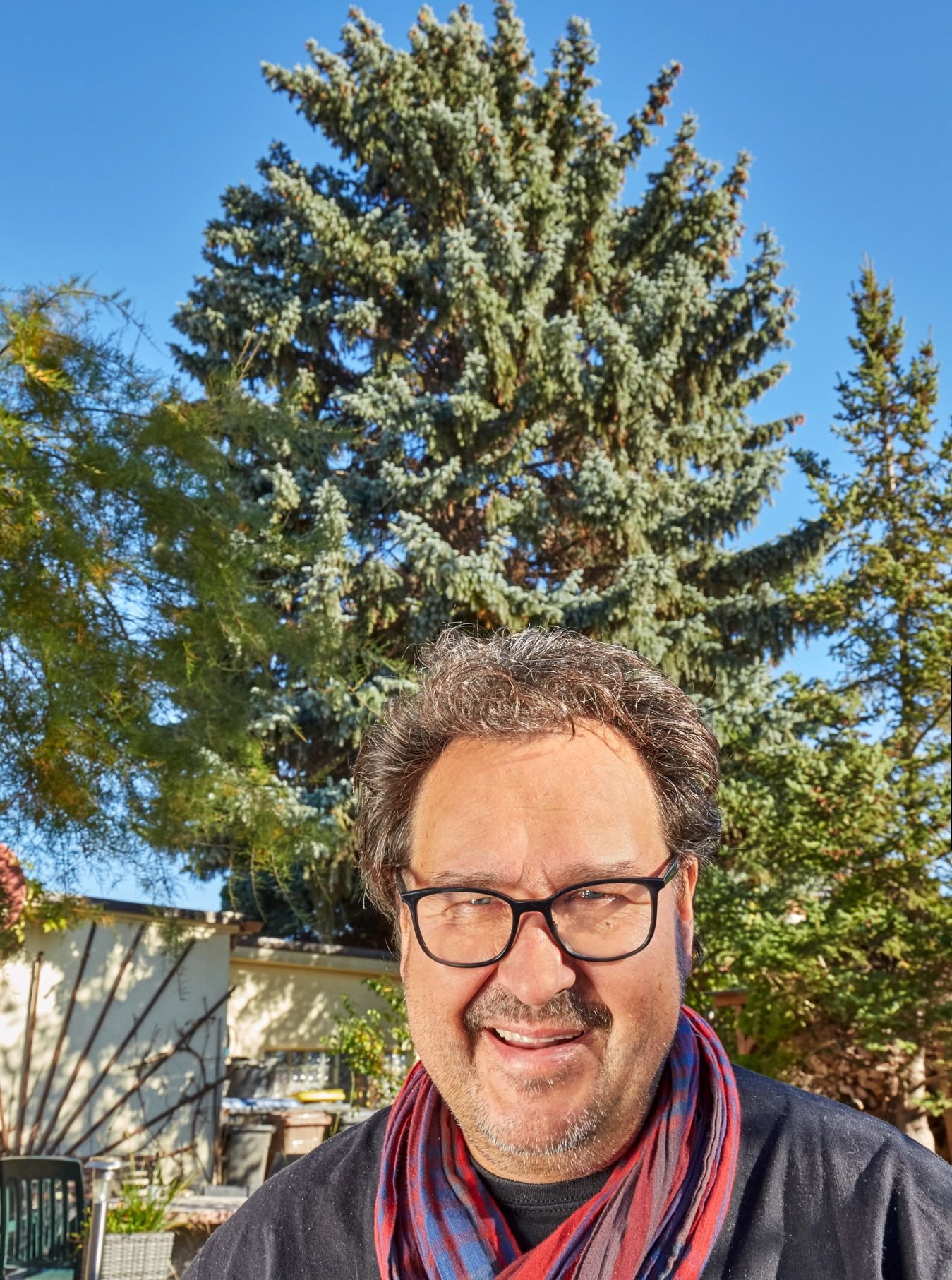 Detlef Müller spendet in diesem Jahr den Weihnachtsbaum für den Heele-Christ-Markt.