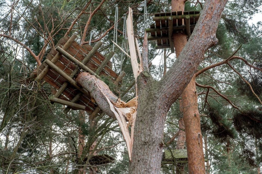 Wie Streichhölzer knickte der Orkan „Friederike“ die Bäume im Kletterwald Nietleben in Halle (Saale) um. Sich dort aufzuhalten, ist lebensgefährlich.