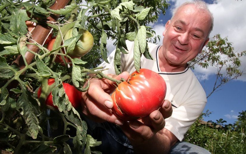 Armin Matzke ist der Vorsitzende des Sangerhäuser Kreisverbandes der Gartenfreunde.